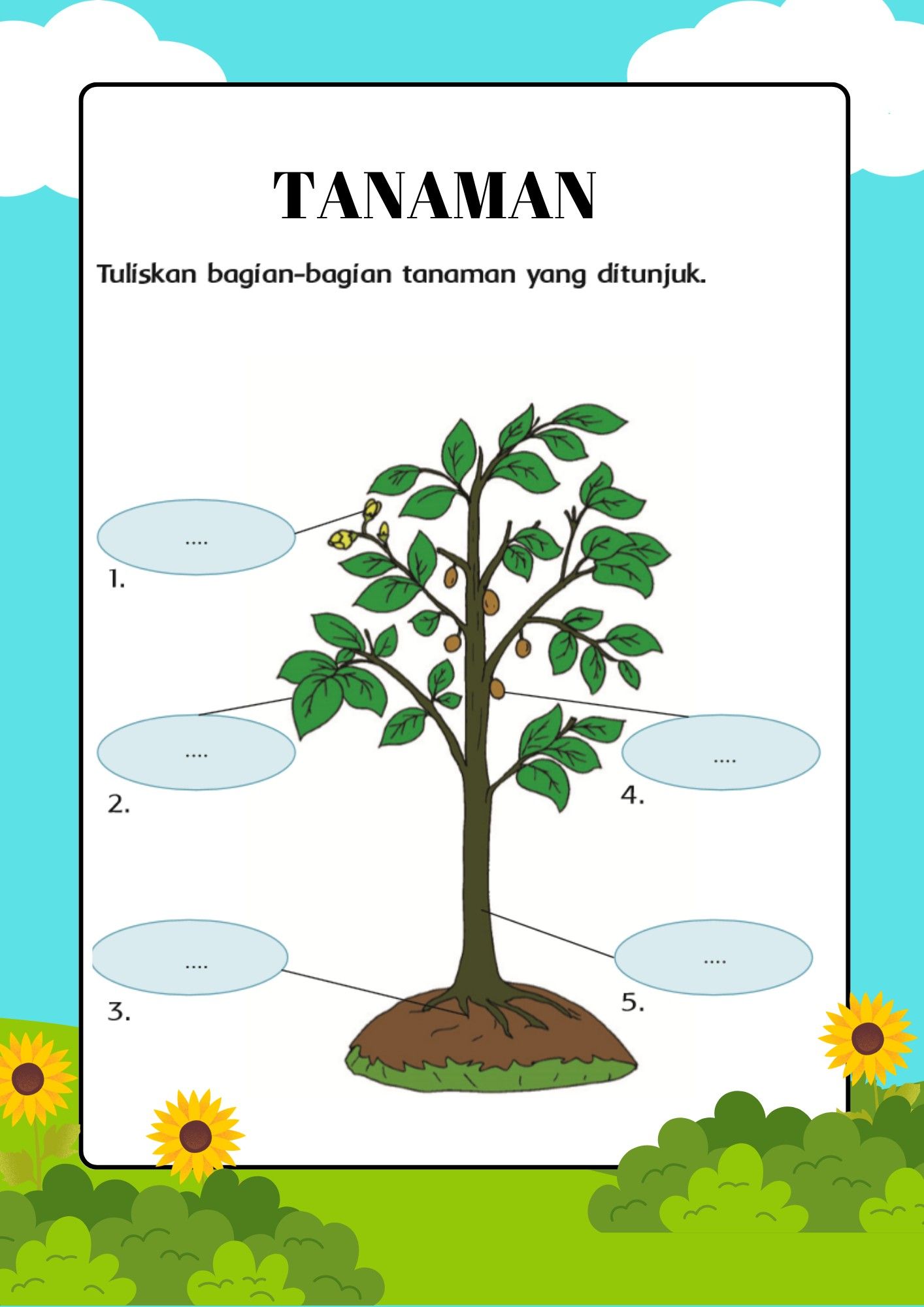 Mengenal Bagian-Bagian Tumbuhan Soal dan Jawaban IPA Kelas 4 yang