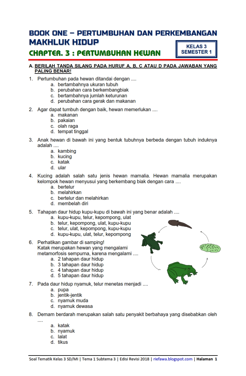 7 Rahasia contoh soal menganalisis makhluk hidup sd kelas 3 semester 1 untuk Nilai Tinggi